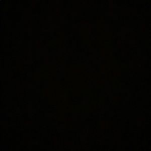 Meet your Posher, Lila